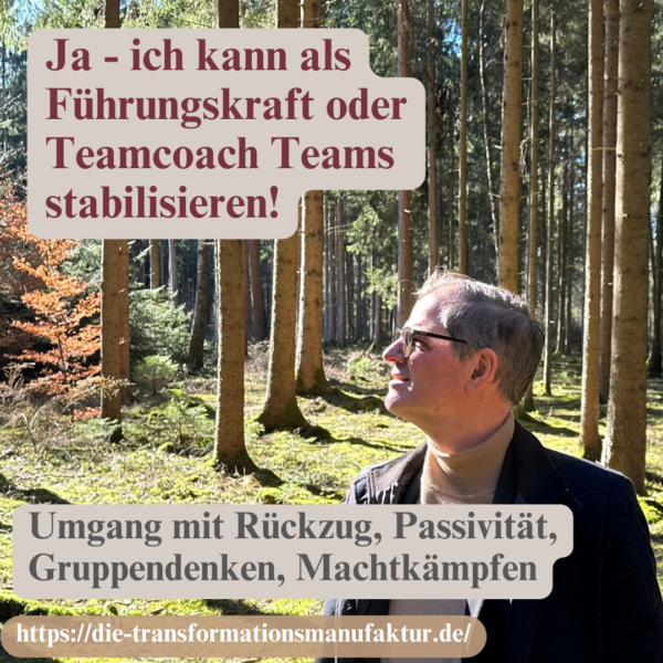 Ja – ich kann als Führungskraft (oder Teamcoach) Teams stabilisieren!