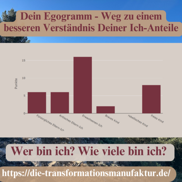 Wie viele bin ich? Oder: Deine ‚Egogramm-Auswertung‘