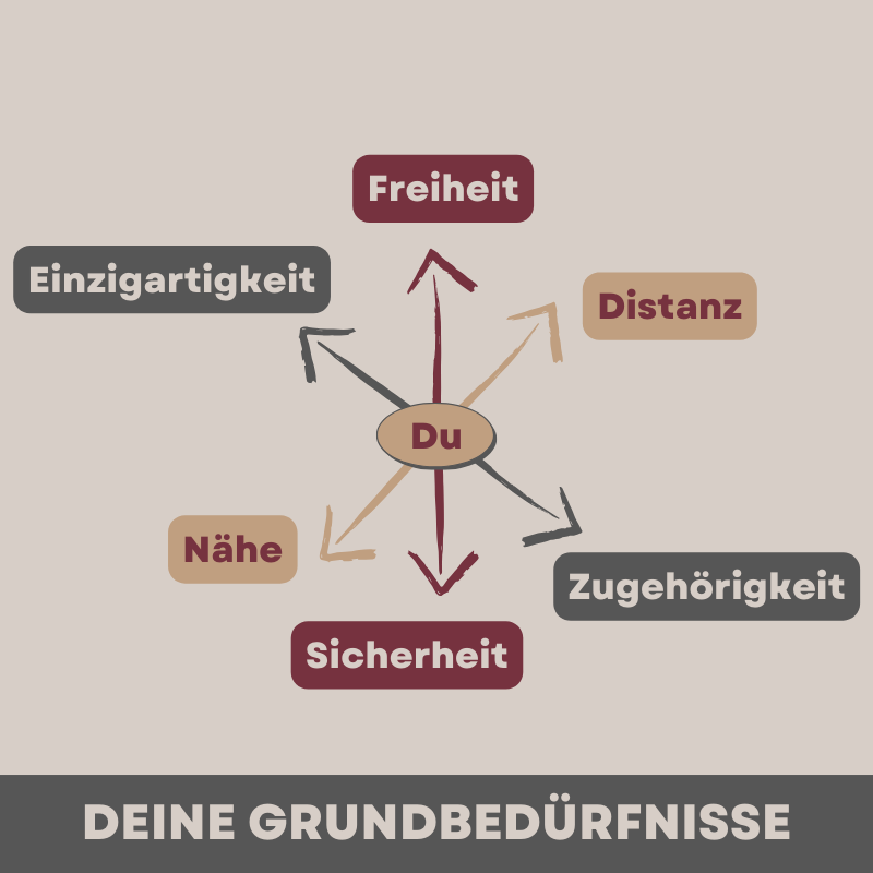 Deine Grundbedürfnisse, Quelle für positive und negative Emotionen